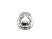 Silver_Flat_Head